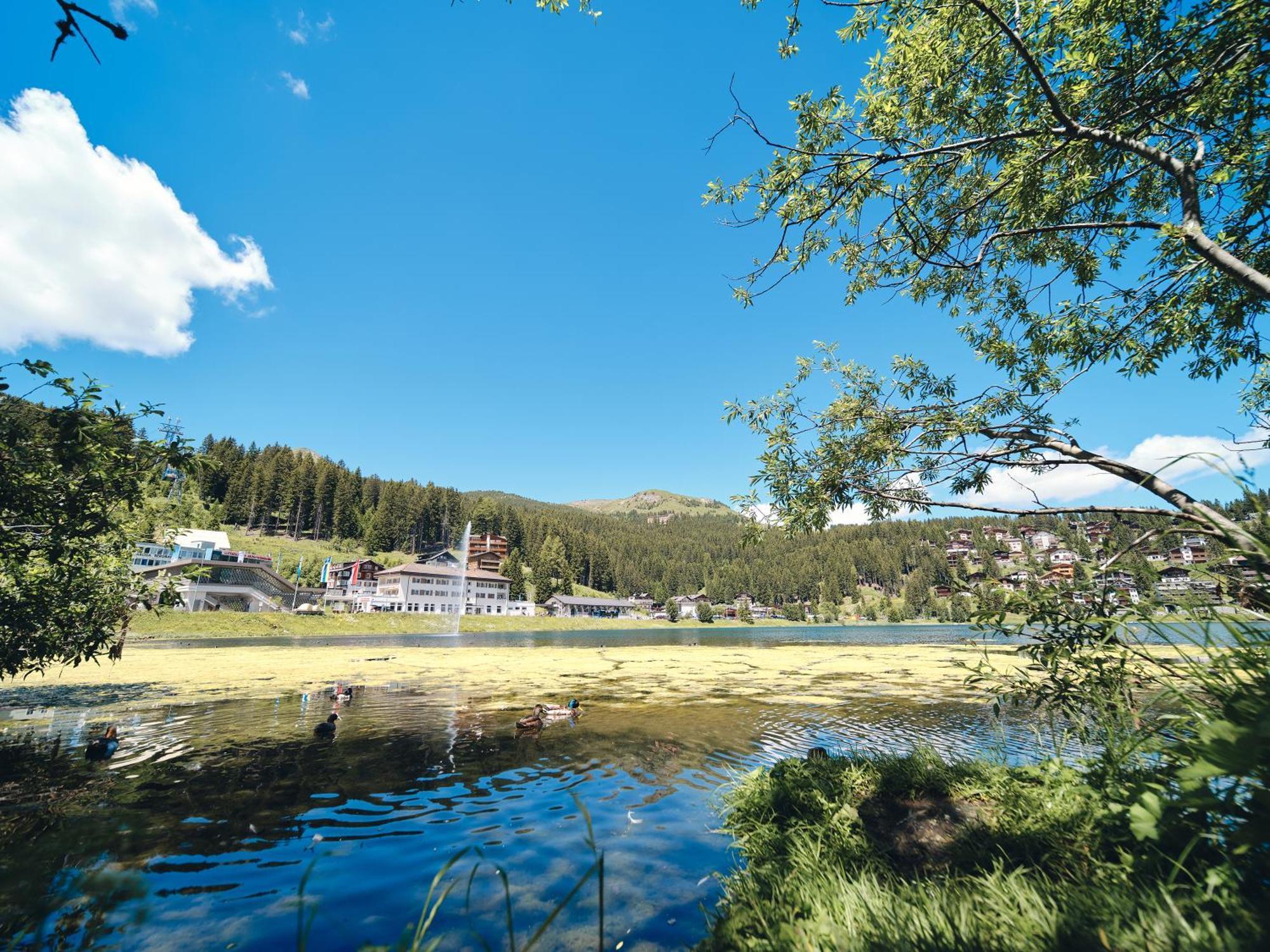 Haus Padrun 8 By Arosa Vacations Lägenhet Exteriör bild