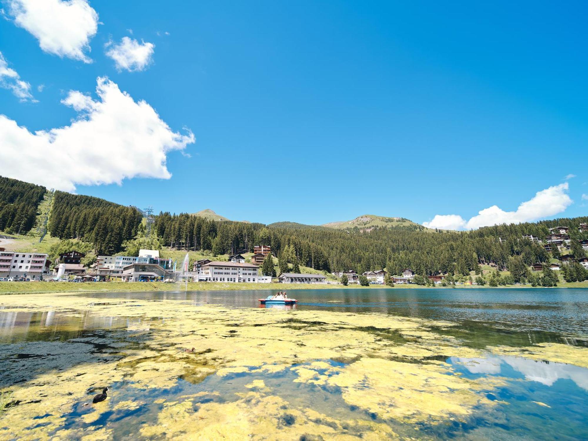 Haus Padrun 8 By Arosa Vacations Lägenhet Exteriör bild